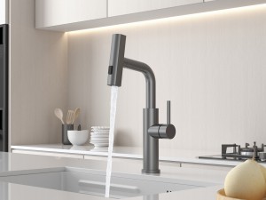  Backer RAF 3281 GUN GREY Кухонный кран
